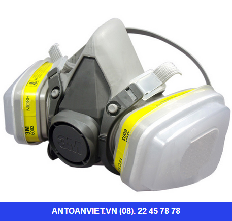Mặt nạ 3M 6100