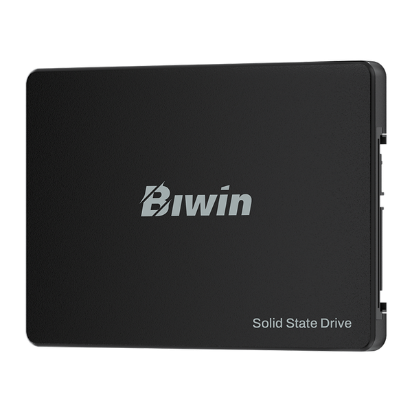  Ổ cứng SSD Biwin M100 256GB BM100NN256G-RGX (2.5