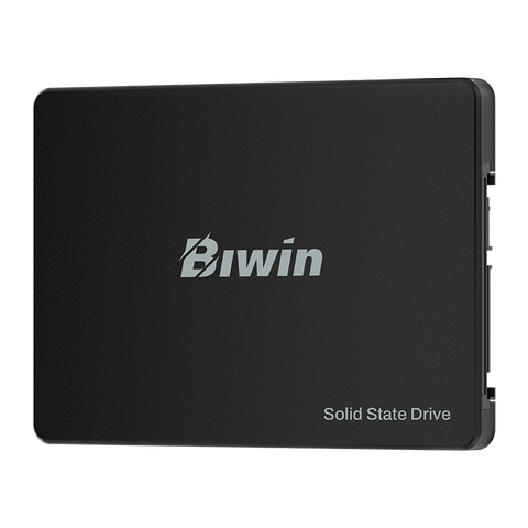  Ổ cứng SSD Biwin M100 256GB BM100NN256G-RGX (2.5