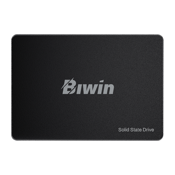  Ổ cứng SSD Biwin M100 256GB BM100NN256G-RGX (2.5