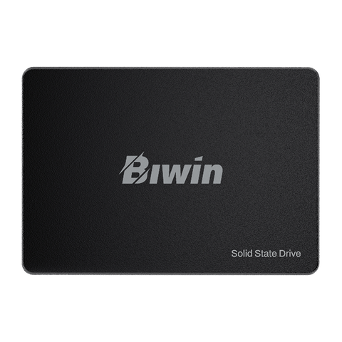  Ổ cứng SSD Biwin M100 256GB BM100NN256G-RGX (2.5