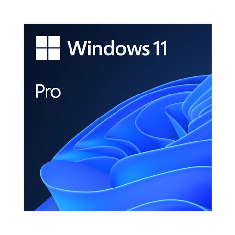  Phần mềm Windows 11 Pro 64-Bit Eng Intl 1pk DSP OEI DVD FQC-10528 