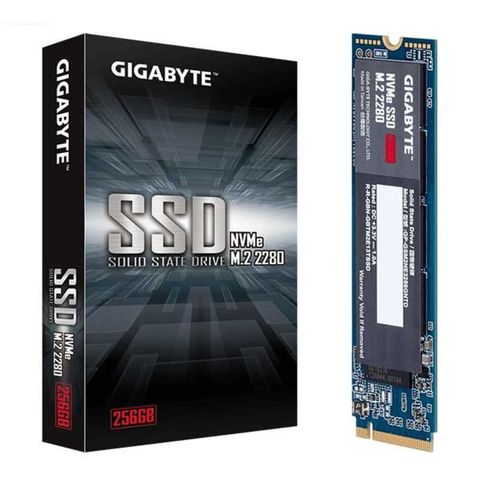  Ổ cứng SSD GIGABYTE 256GB GP-GSM2NE3256GNTD (M.2 NVMe PCIe Gen3x4) 