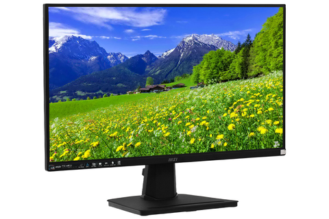  Màn hình máy tính LCD MSI PRO MP251 24.5