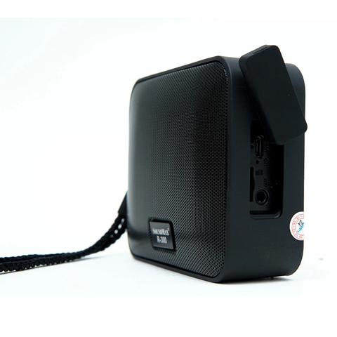  Loa Bluetooth SoundMax R-300 