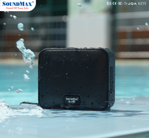  Loa Bluetooth SoundMax R-300 