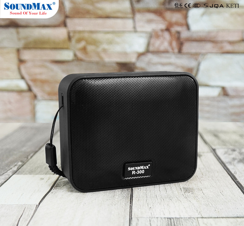  Loa Bluetooth SoundMax R-300 