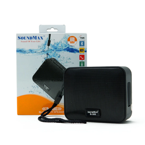 Loa Bluetooth SoundMax R-300 