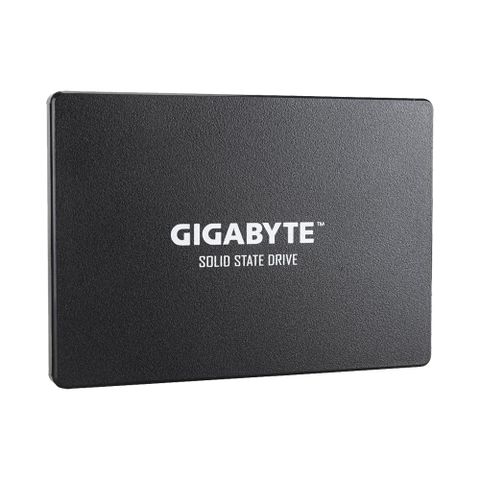  Ổ cứng SSD Gigabyte 256GB GP-GSTFS31256GTND (2.5