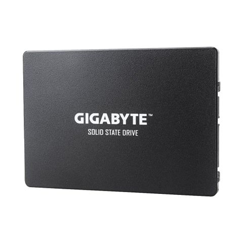  Ổ cứng SSD Gigabyte 256GB GP-GSTFS31256GTND (2.5