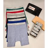  Hanes - Quần lót nam Boxer 