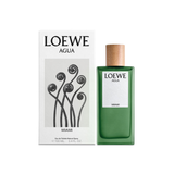  LOEWE AGUA MIAMI 