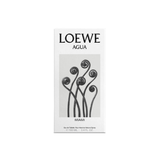  LOEWE AGUA MIAMI 