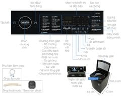 Máy giặt Samsung Inverter 12 kg WA12CG5886BVSV