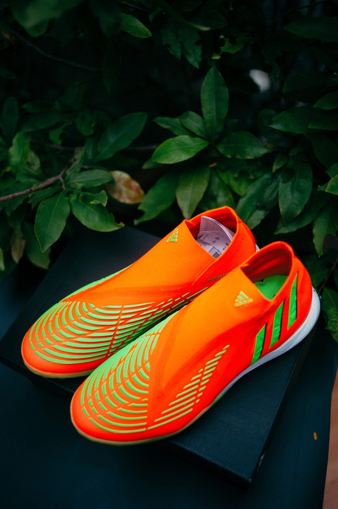 Predator EDGE.1 TF �?? sportcheckvn