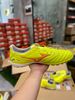 MORELIA NEO IV PRO AS - P1GD243445