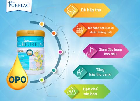 Sữa bột dinh dưỡng PureLac Royal Plus Stage 1 cho trẻ từ 0-6 tháng tuổi 800G