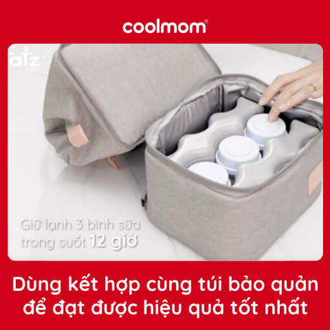 Đá khô Fatzbaby kèm túi zip Frozen 2 FB0021VN (2 miếng)