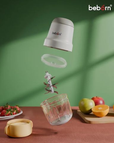 Máy xay thức ăn cho bé Beborn FG01