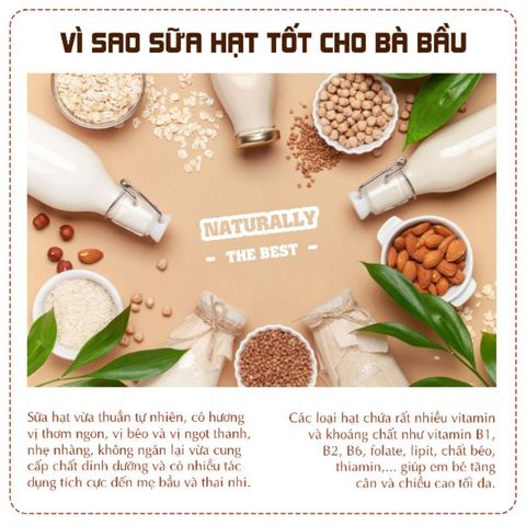 Sữa bầu Vegemil Hàn Quốc 190ml (xách 16 hộp)