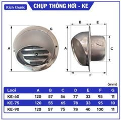 Chụp thông hơi Vent Cap D60/75/90(có lưới chắn côn trùng)
