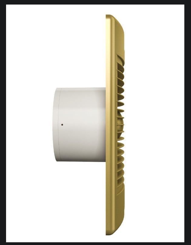 Quạt thông gió STANDARD 4C champagne DICITI - Màu vàng chanh