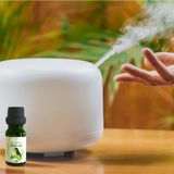  Máy Khuếch Tán Tinh Dầu Aroma Diffuser (300ml) 