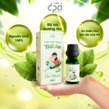  COMBO Dầu Khuynh Diệp (C/25ml) Và Tinh Dầu Tràm Thái An (C/10ml) 