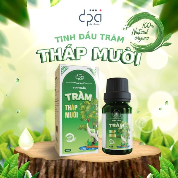  Tinh dầu Tràm Tháp Mười - Dung Tích Chai 30ML 