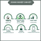  COMBO 2 Dầu Khuynh Diệp Thái An Phiên Bản Nâng Cấp Cho Bé - Mùi Hương Hoa, Vỉ/30ML 