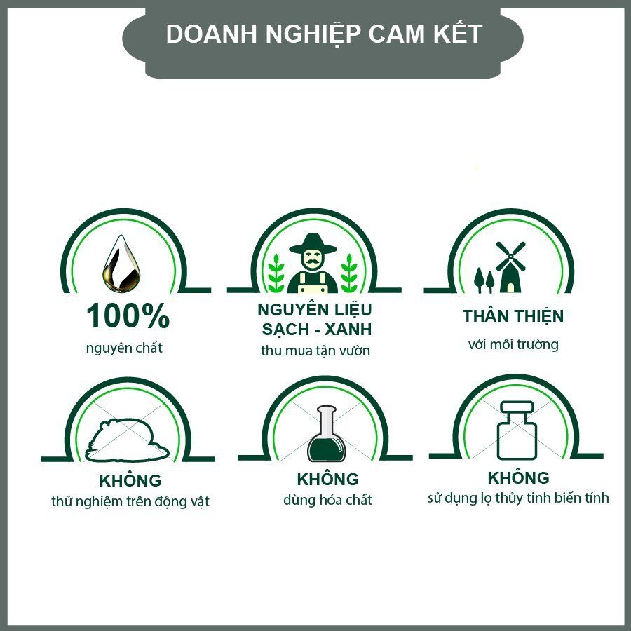  COMBO 2 Dầu Khuynh Diệp Thái An Phiên Bản Nâng Cấp Cho Bé - Mùi Hương Hoa, Vỉ/30ML 