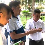  Tinh Dầu Tràm Kinh Đô - Dung Tích Chai 30ML 