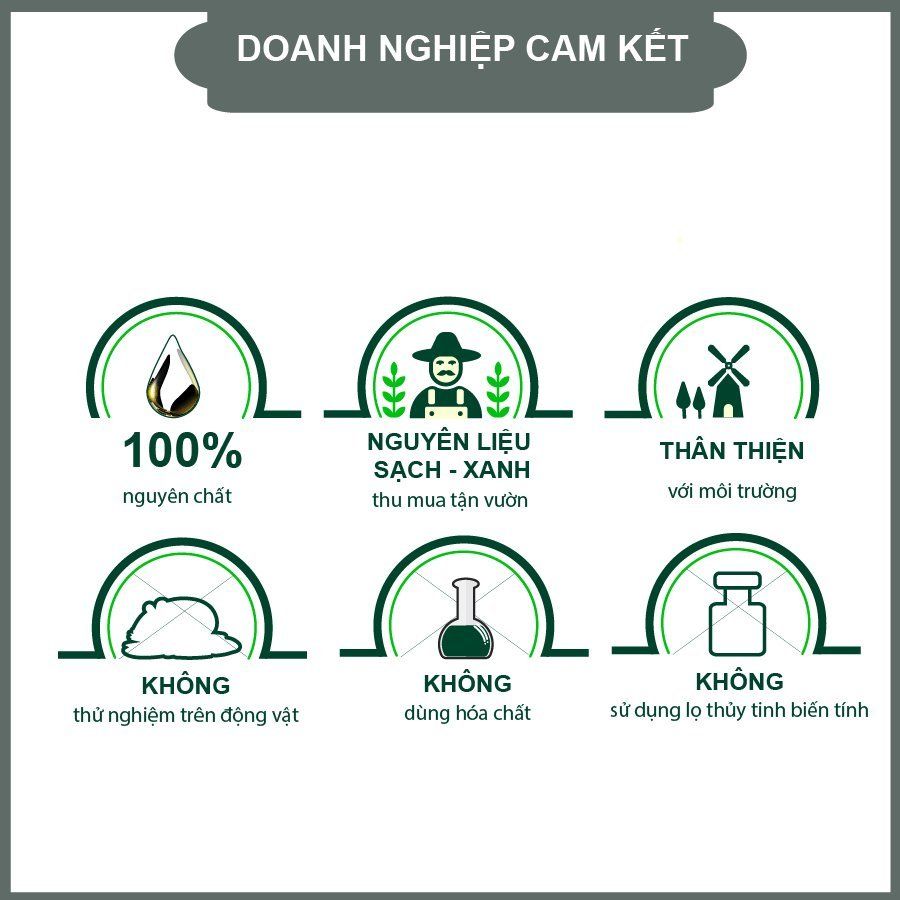 Tinh Dầu Treo Hương Lá Xông Thái An Giúp Khử Mùi Thanh Lọc Không Khí (C/9ml) 