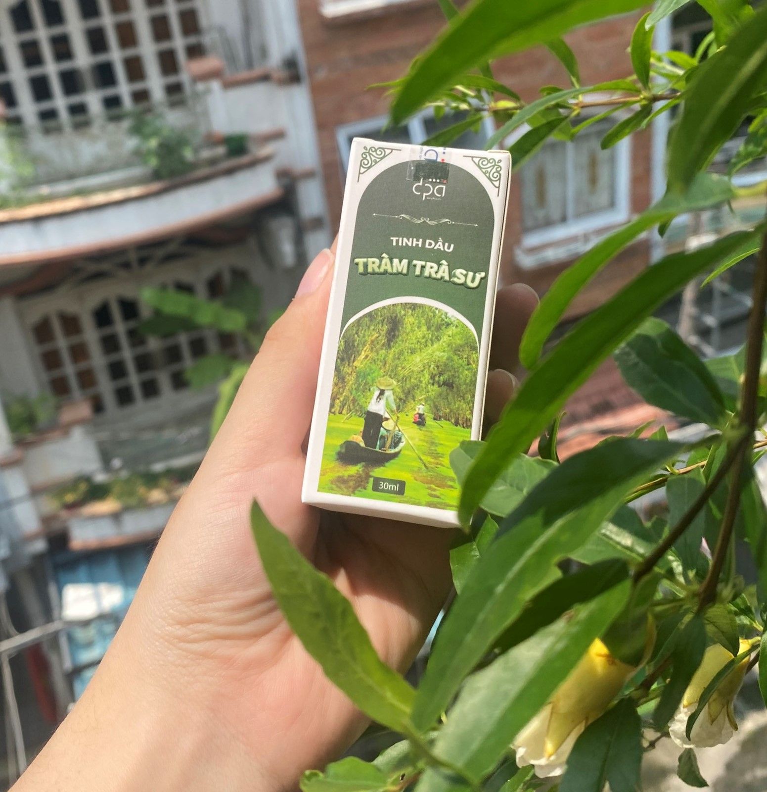  Tinh Dầu Tràm Trà Sư Kì Hoa Dị Thảo - Dung Tích Chai 30ML 