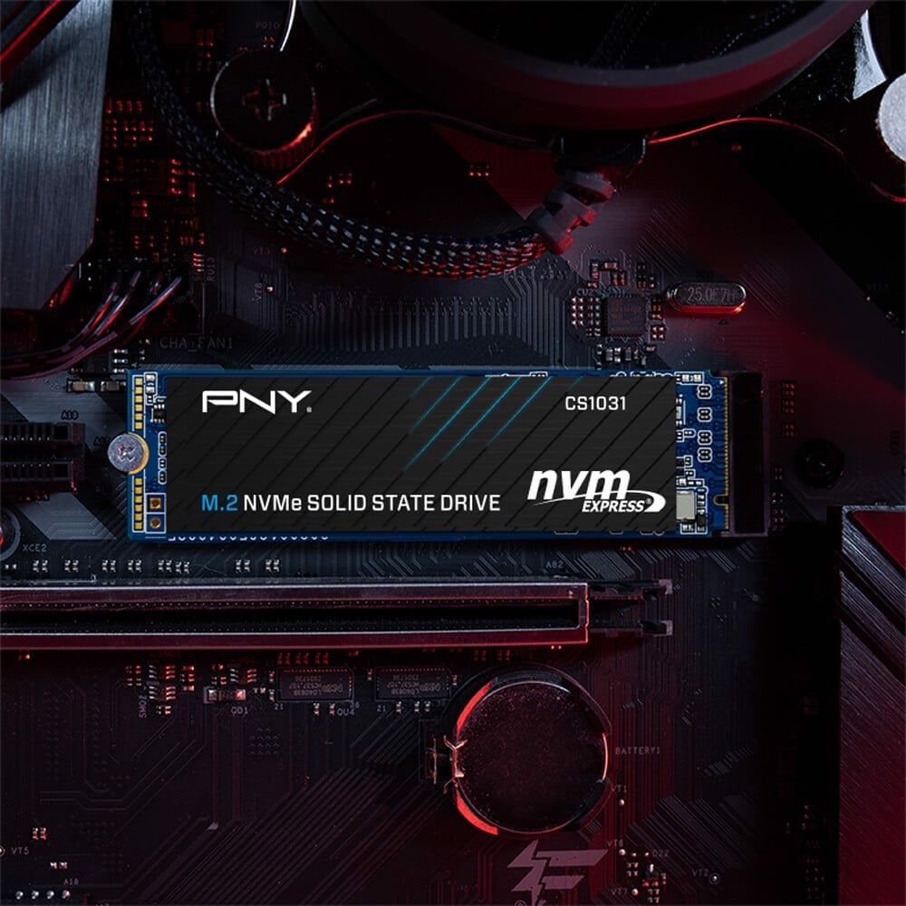 Ổ cứng PNY SSD CS1031 M.2 2280 NVMe 256GB