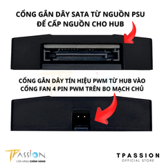 Hub chia nguồn quạt ARCTIC 10 CỔNG 4 PIN PWM | HUB AC