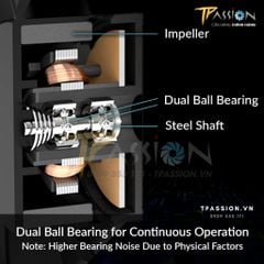 Quạt tản nhiệt Arctic P12 MAX | BLACK & WHITE