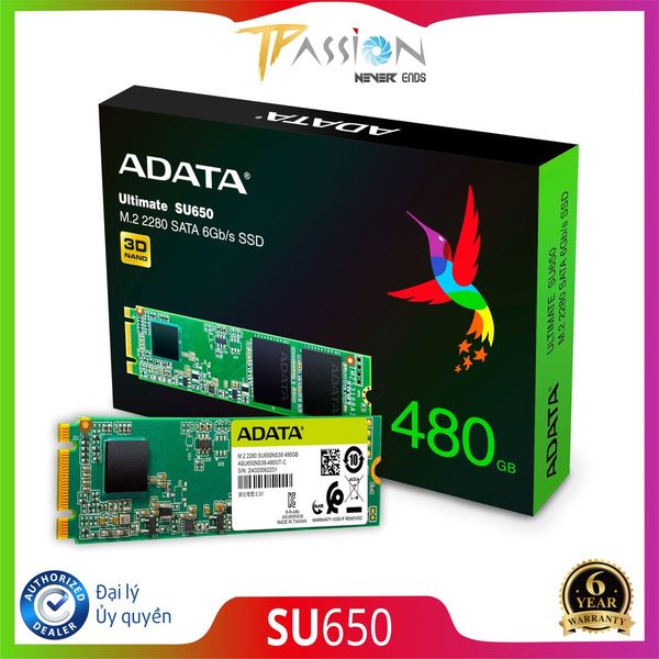 Ổ Cứng SSD M.2 2280 ADATA Ultimate SU650