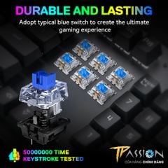 Bàn phím cơ Gaming LED RGB T-WOLF T17 Black - Chính Hãng, Keyboard 104 Key, Blue Switch, 20 Chế Độ LED Rainbow ARGB