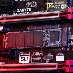 Ổ cứng SSD ADATA XPG SX6000 Lite M.2 2280 NVMe PCIE GEN3X4