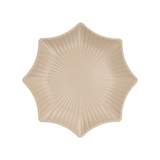  Đĩa phíp sao trung 1191 