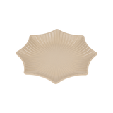  Đĩa phíp sao to 1192 