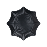  Đĩa phíp sao trung 1191 