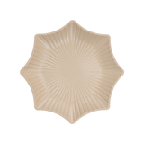  Đĩa phíp sao to 1192 