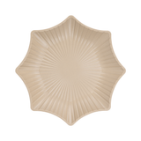  Đĩa phíp sao đại 1193 