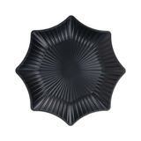  Đĩa phíp sao đại 1193 