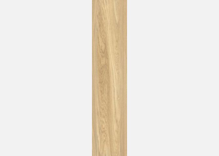  21.A.290.0956 20X90CM | PORCELAIN  ADENIA 
