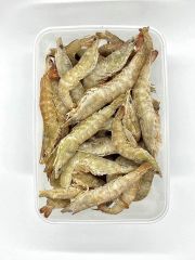 TÔM ĐẤT RỪNG TỰ NHIÊN