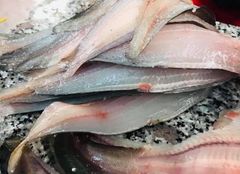 CÁ THÁC LÁC TỰ NHIÊN