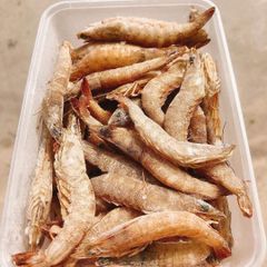 TÔM ĐẤT RỪNG TỰ NHIÊN